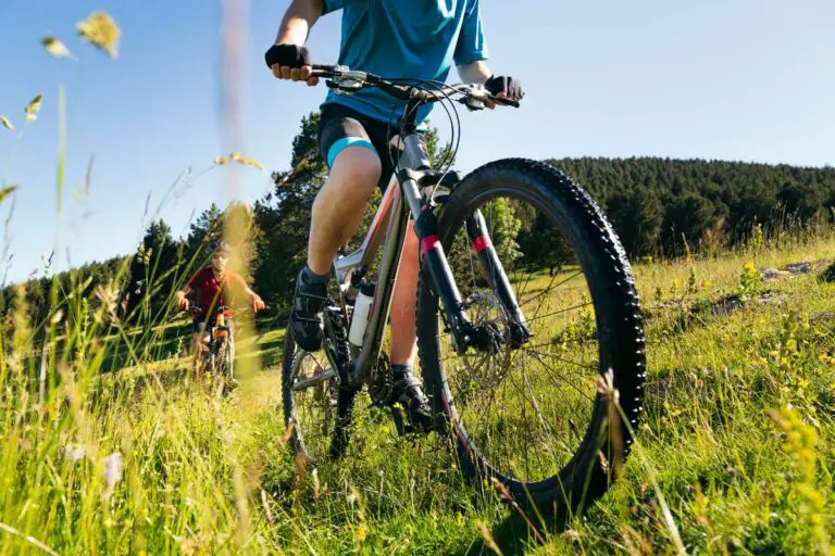 front view of two men doing sport riding their mountain bike in a meadow with flowers, concept of friendship and healthy lifestyle in nature